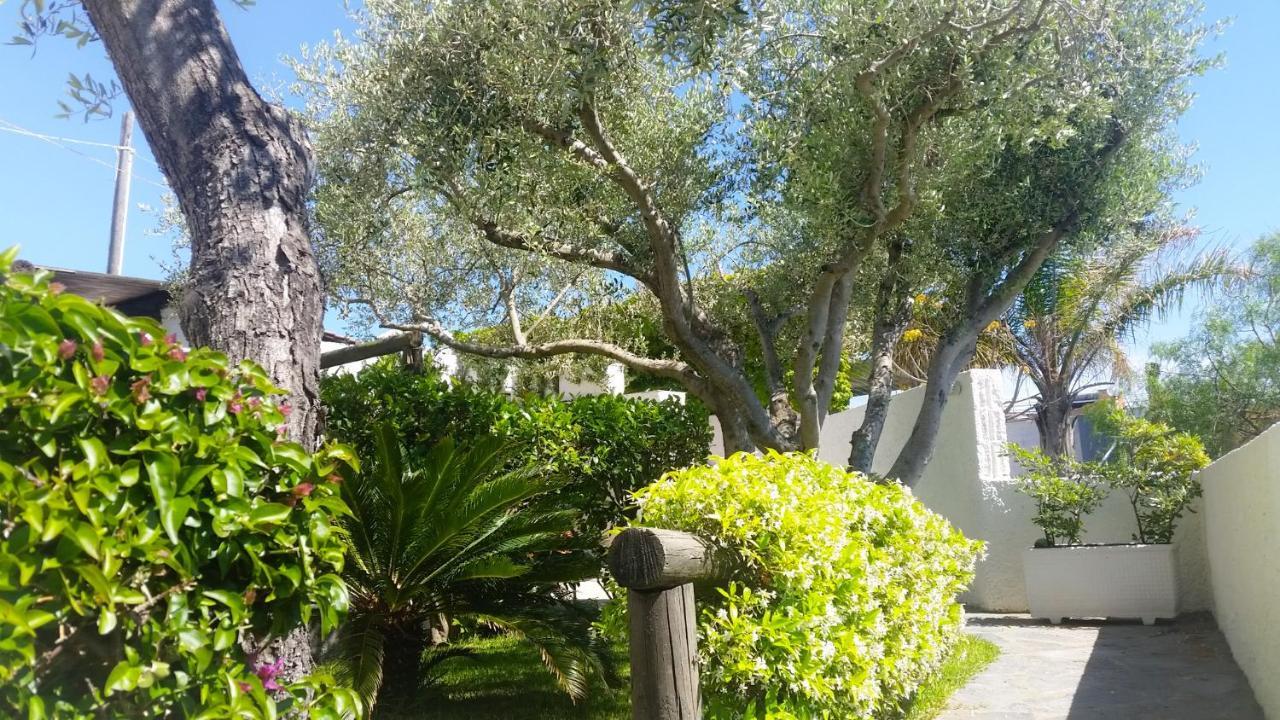 Appartamenti Luongo Forio di Ischia Exterior foto