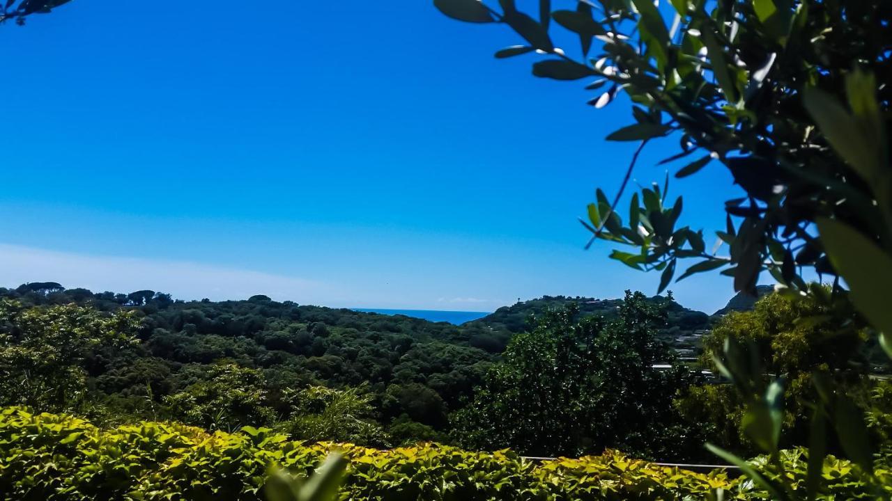 Appartamenti Luongo Forio di Ischia Exterior foto